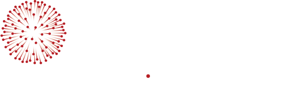 Smart Nation Logo